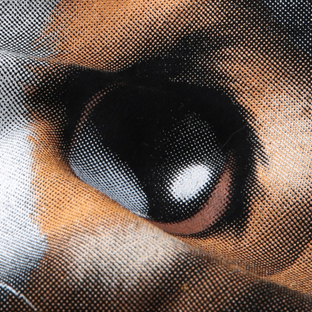 正面局部網版網點印花